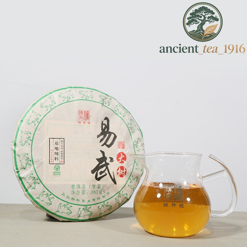 357g 2019 Chen Sheng Hao Yi Wu Big Tree Puer Raw Tea Cake Base Pure Material