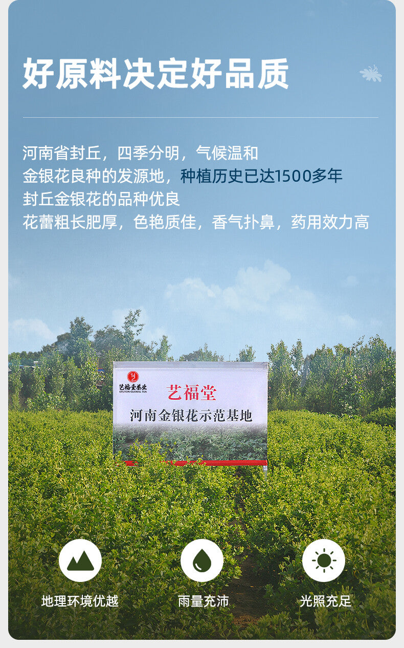 EFUTON Jin Yin Hua Honeysuckle Flower Tea Dried Flower Herbal Tea Loose Buds 60g