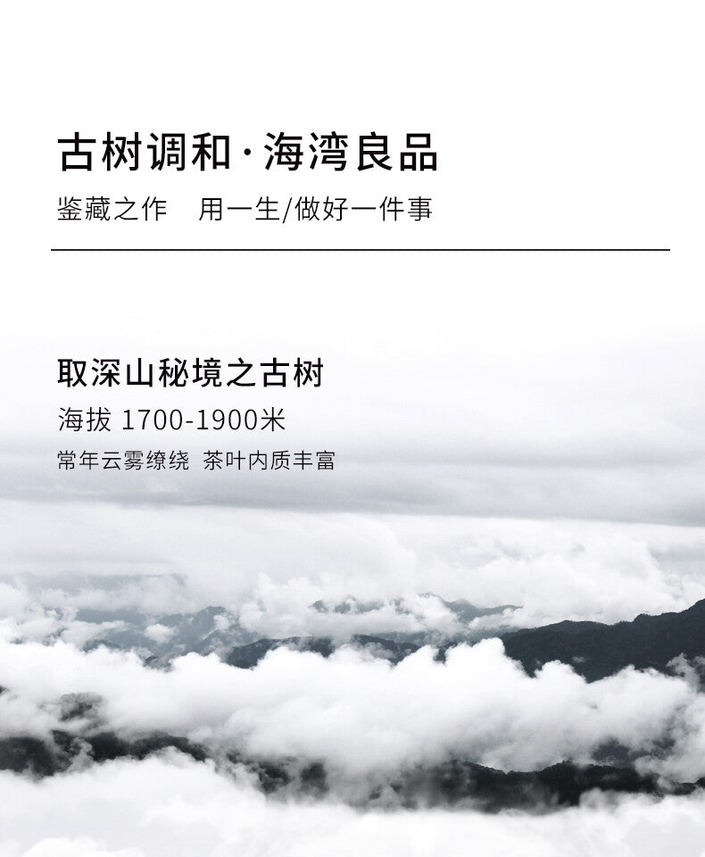 Liang Zai Pin * 2013 Yunnan Pu'er Haiwan Old Comrade Old Tree Raw Puerh Tea 400g
