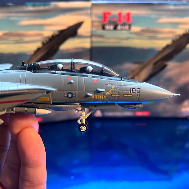 1:100 F-14B Male Cat Fighter Metal Model Wing Variable Bomb Cat Painting