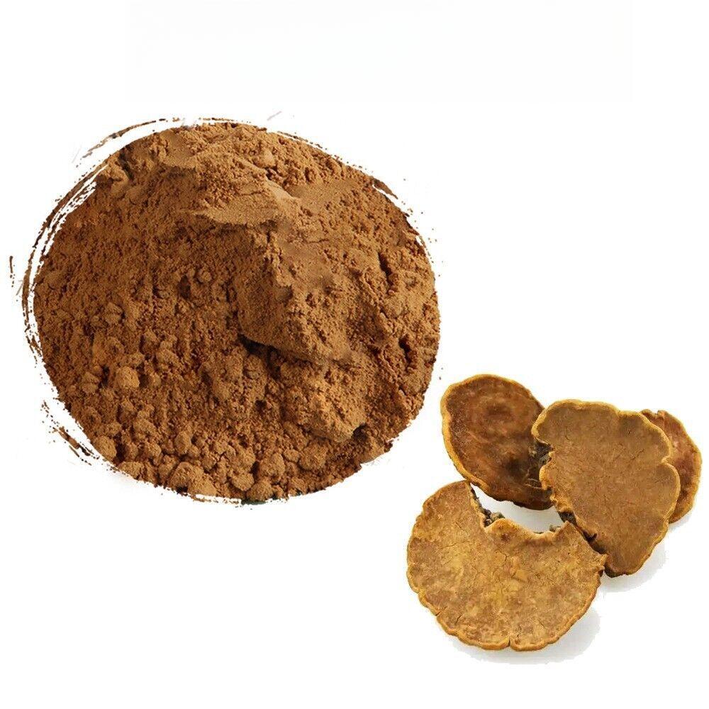 200g Meshimakobu Mushroom Powder 20:1 Phellinus Linteus Extract
