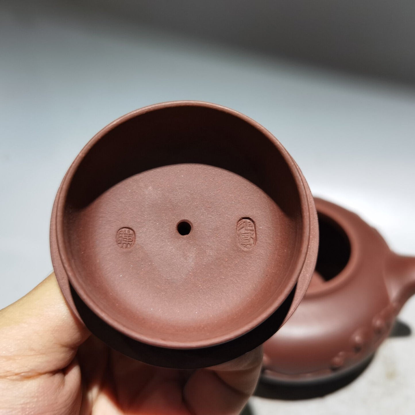 Chinese Yixing Zisha Clay Handmade Exquisite Teapot (鱼跃龙门 低款:陈旭凤)
