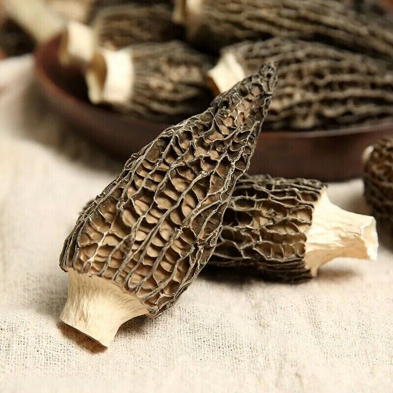 50g High Quality MOREL-DRIED-MUSHROOMS- Naturals From the YUNAN of China 羊肚菌