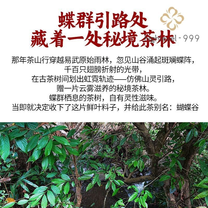200G 2021 Yiwu Pu'er Tea Sheng Pu'er Tea Yunnan Ancient Tree Raw Tea Cake -