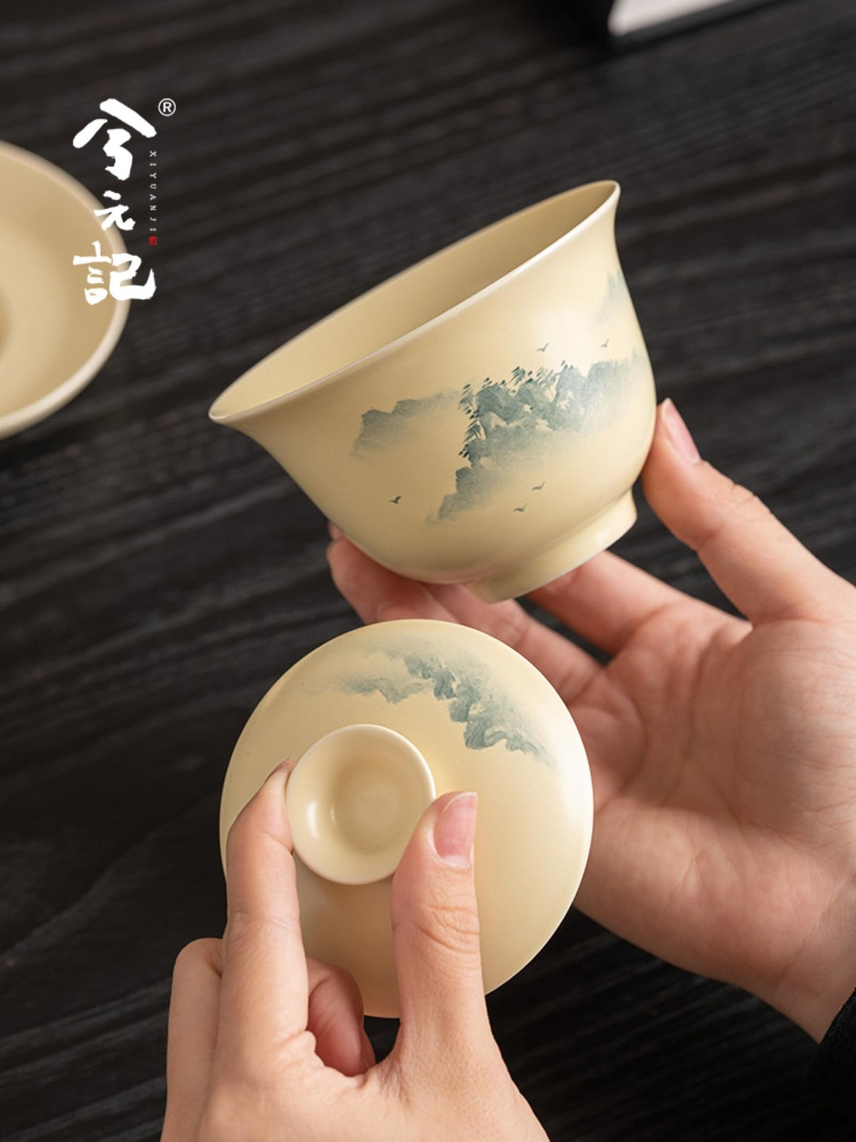 Ceramics Gaiwan Tea Set 205ml 6.8oz Mountains Kungfu Tea Set