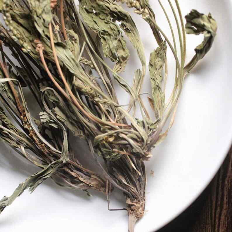 Organic Herbal Plantaginis Plantain Herb Plantago Asiatica Great Quality