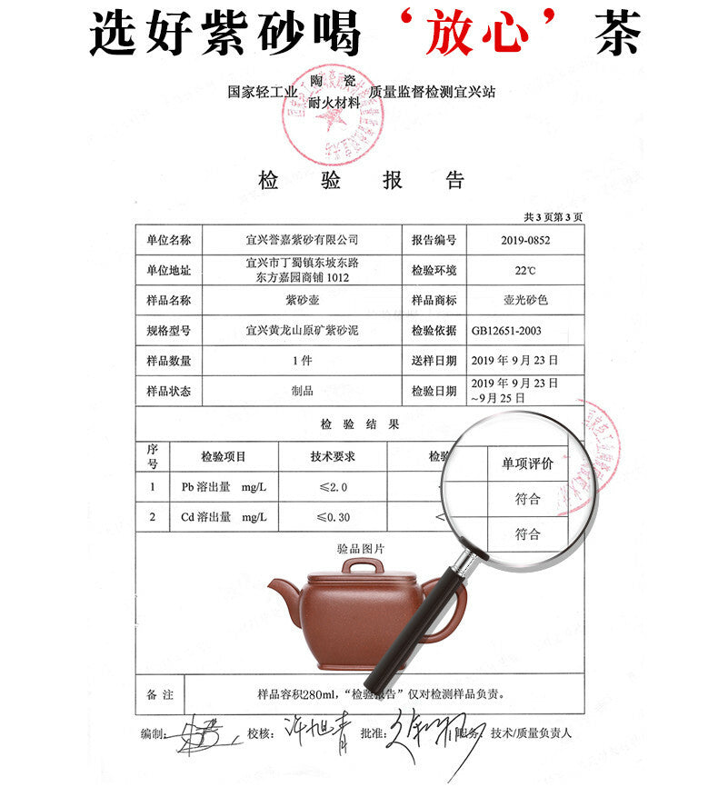 240cc chinese Yixing Handmade Zisha teapot DiCaoQing clay HanWa Gongfu Tea Pot