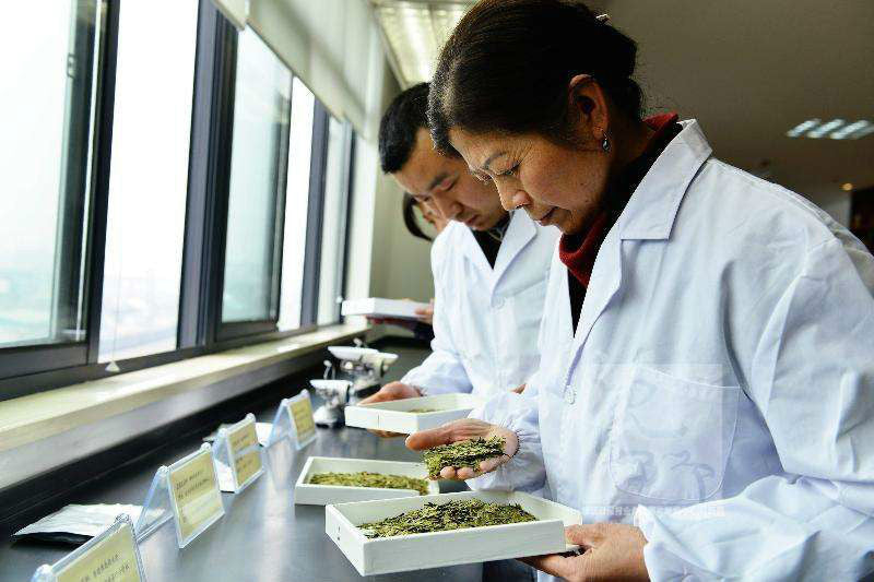 Longjing Green Tea Premium Dragon Well Early Spring Chinese Loose Leaf Tea 250g