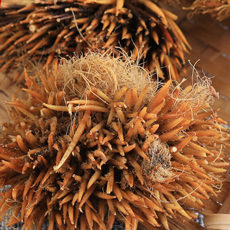 50g 100% Chinese Ciweipi Healthy Care Top-grade Authentic Hedgehog Skin 正品刺猬皮