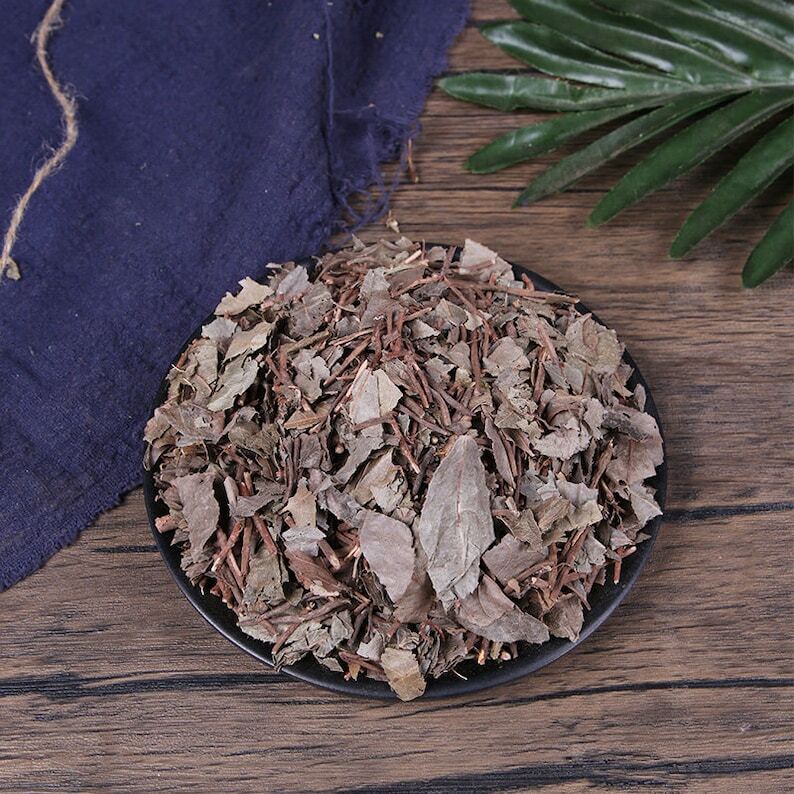 Organic Herbal Ardisiae Japonicae Herbal Ardisia Japonica Great Quality