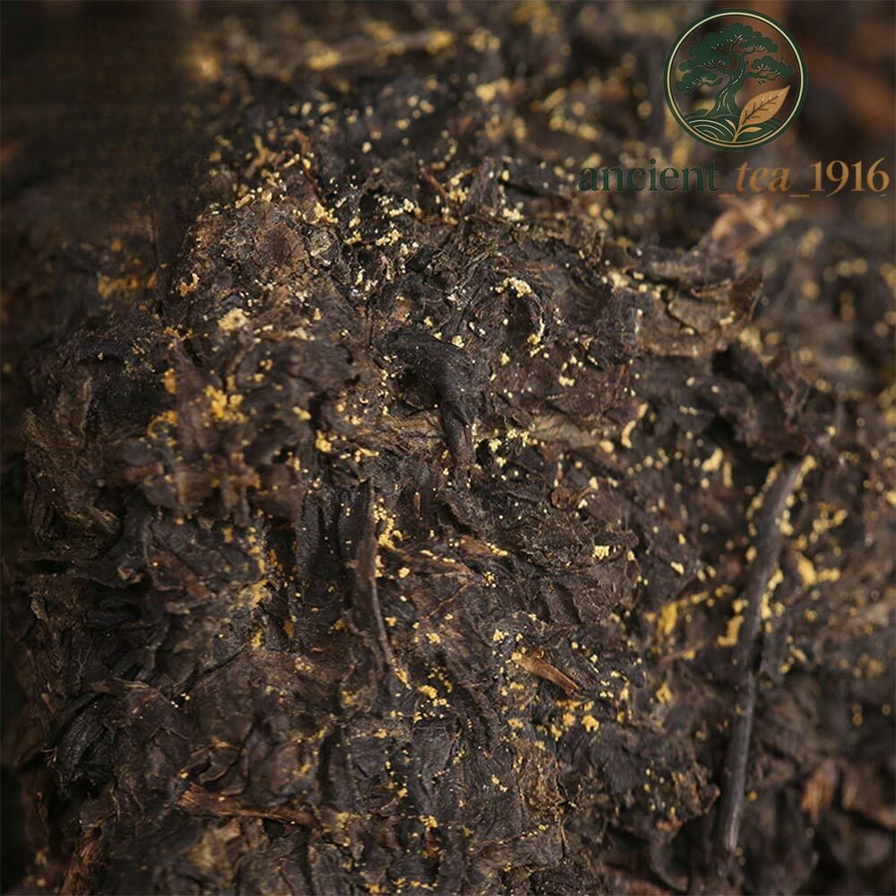 318g Anhua Baishaxi 1953 Hei Cha Royal Fu Cha Dark Tea Golden Flower Brick Tea