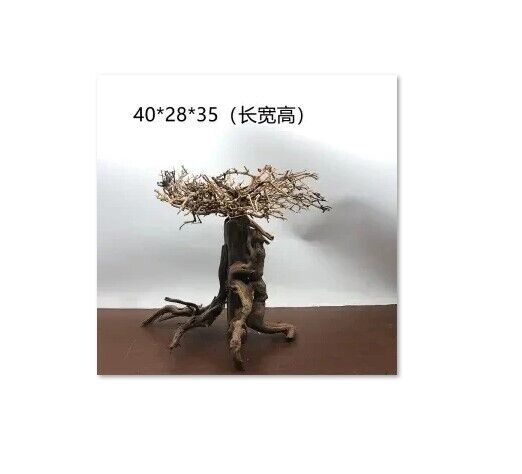 Aquarium Ornament Wood Bonsai Christmas Tree Tank Moss Trunk Driftwood DIY Decor