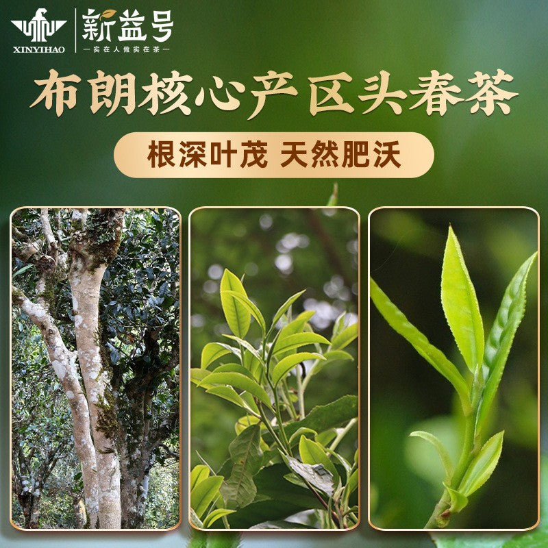 357g Ripe Tea Pu Erh Tea Cake Ancient Tree Old Tea Yunnan Qizi Cake Grain Tea