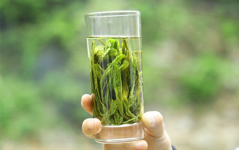 Top Grade China Green Tea New Fresh Organic Nature Matcha TeaTaiping Houkui 100g