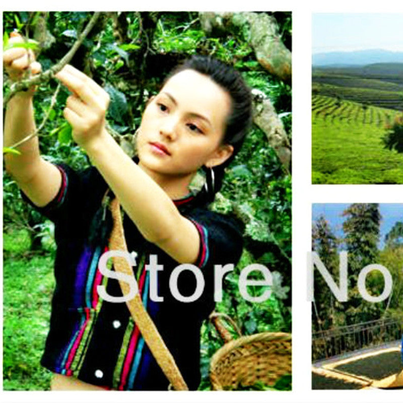 Aged Pu Erh Tea Brick Yunnan Ripe Pu erh Black Tea 250g
