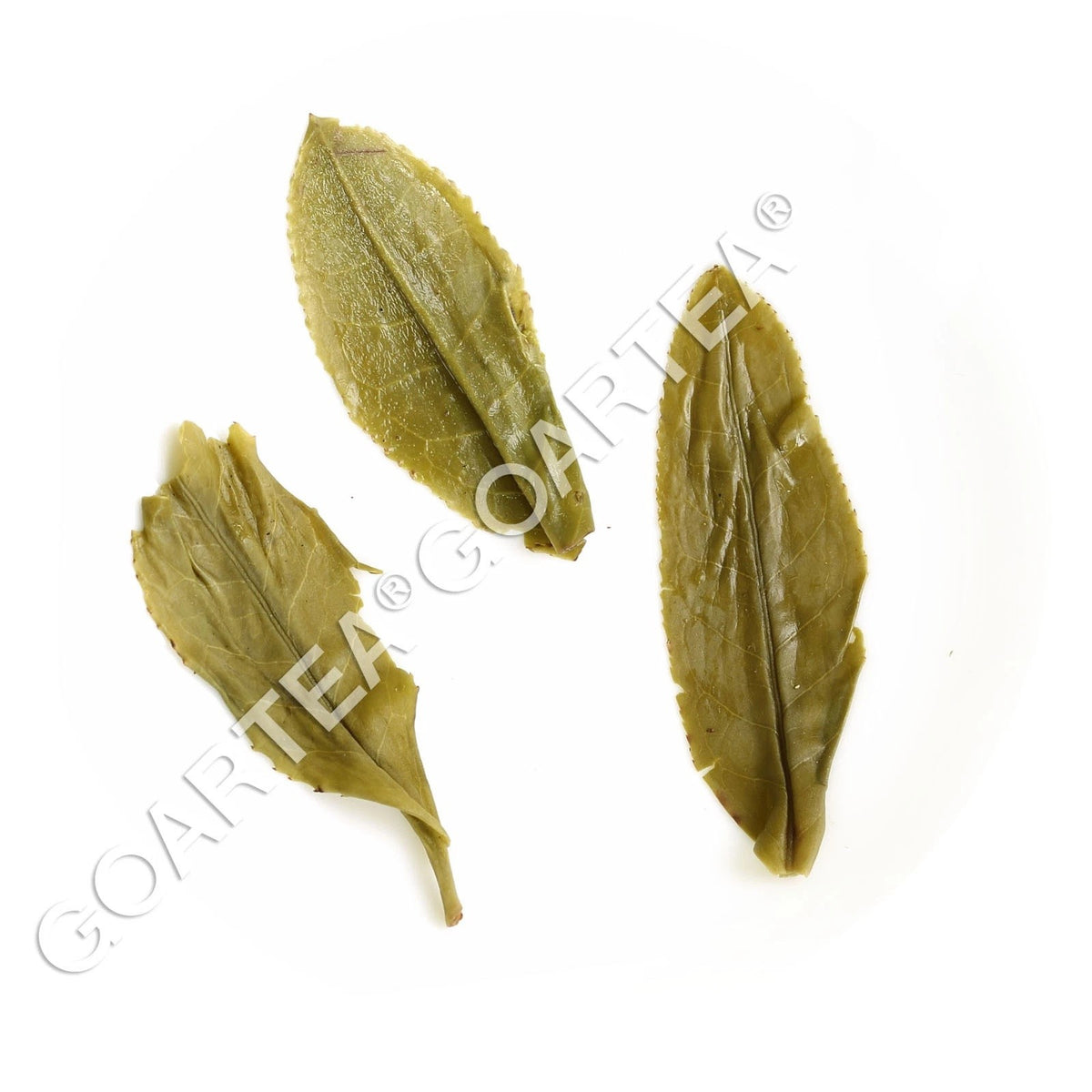 500g Premium Melon Slice Liuan Guapian Spring Green Tea Chinese Loose Leaf