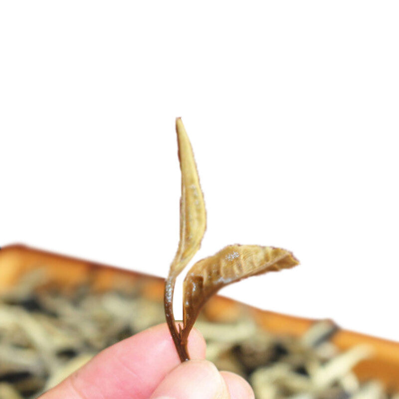 Premium Yunnan Jing Gu Moonlight White Buds Pu-Erh Loose Leaf Puer Raw Tea 100g