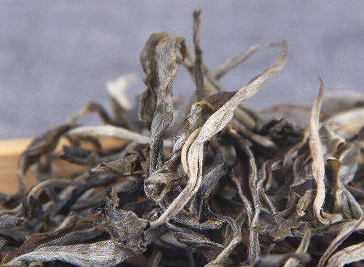 500g Pu-erh Raw Tea Loose Tea 凤凰山古茶园头春凤凰窝散普