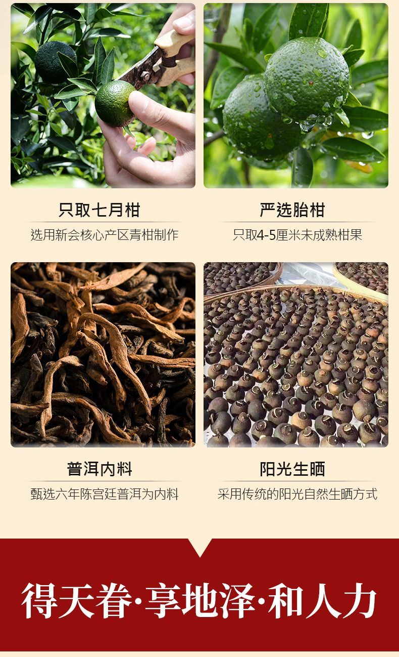 Xiao Qing Gan Puerh Tea Palace Orange Peel ChenPi Citrus Pu'er Ripe Tea 250g