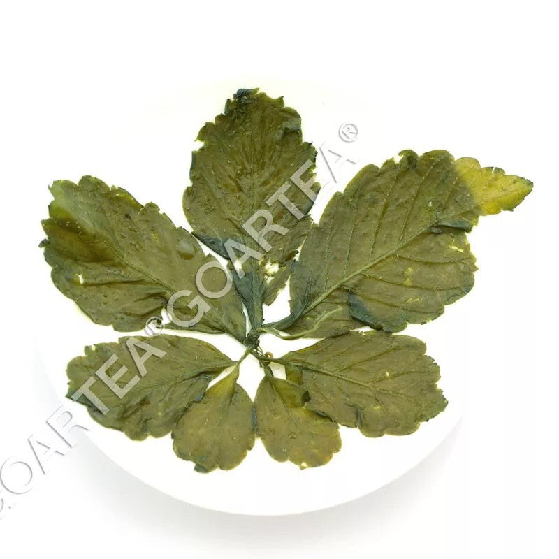 250g Premium Jiaogulan Gynostemma Pentaphyllum Tea Herbal Flower Green Tea