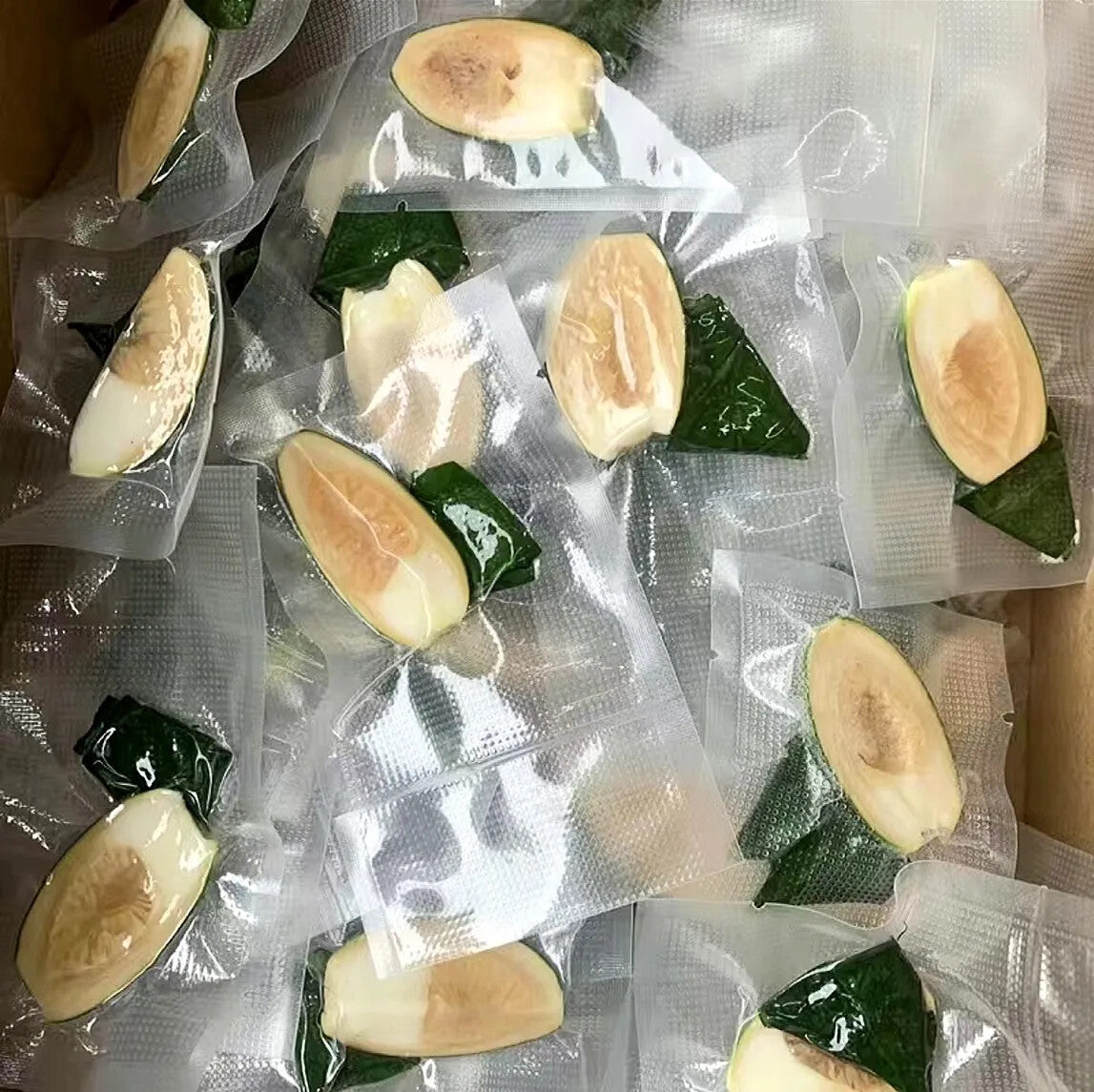 50 pcs Areca Catechu Nuts - 01 Pack Free Shipping Young Baby Betel Nuts