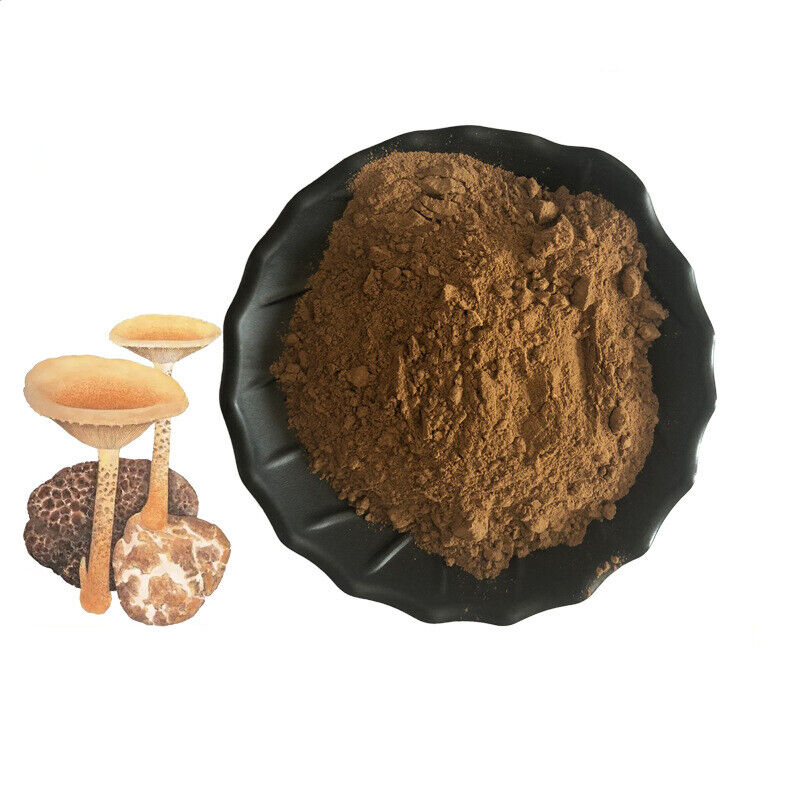 100g~500g High strength Tiger Milk Mushroom extract Powder 10:1