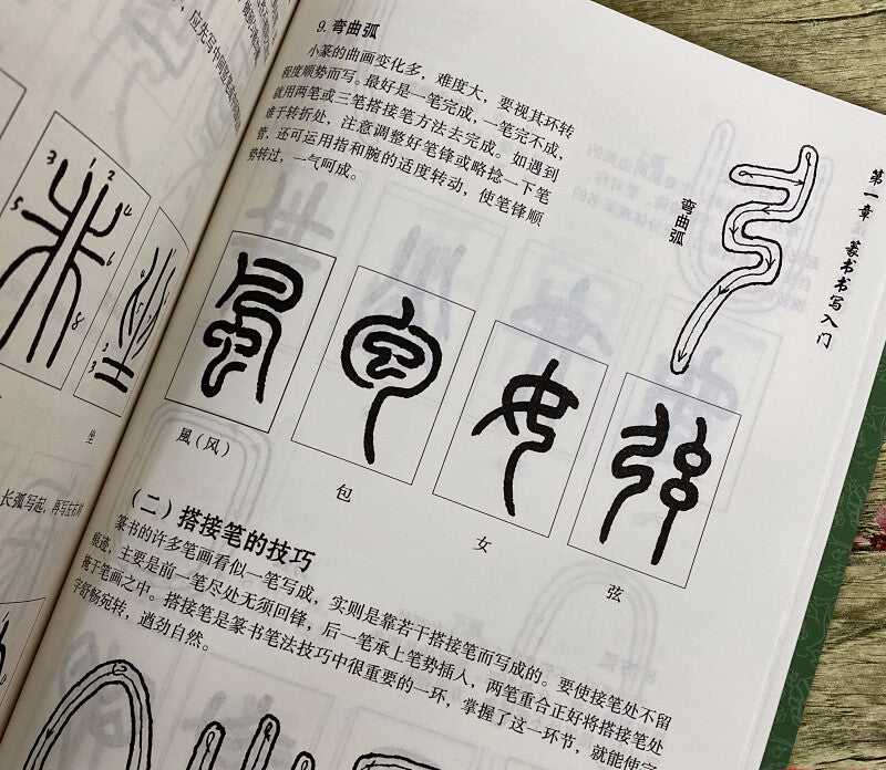 Chinese Calligraphy Seal Script Technique Chinese Classics Practice Copybook