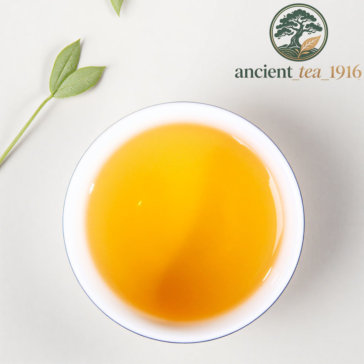 500g 2025 Spring Tea Yunnan Menghai Loose Tea Pu'er Raw Tea