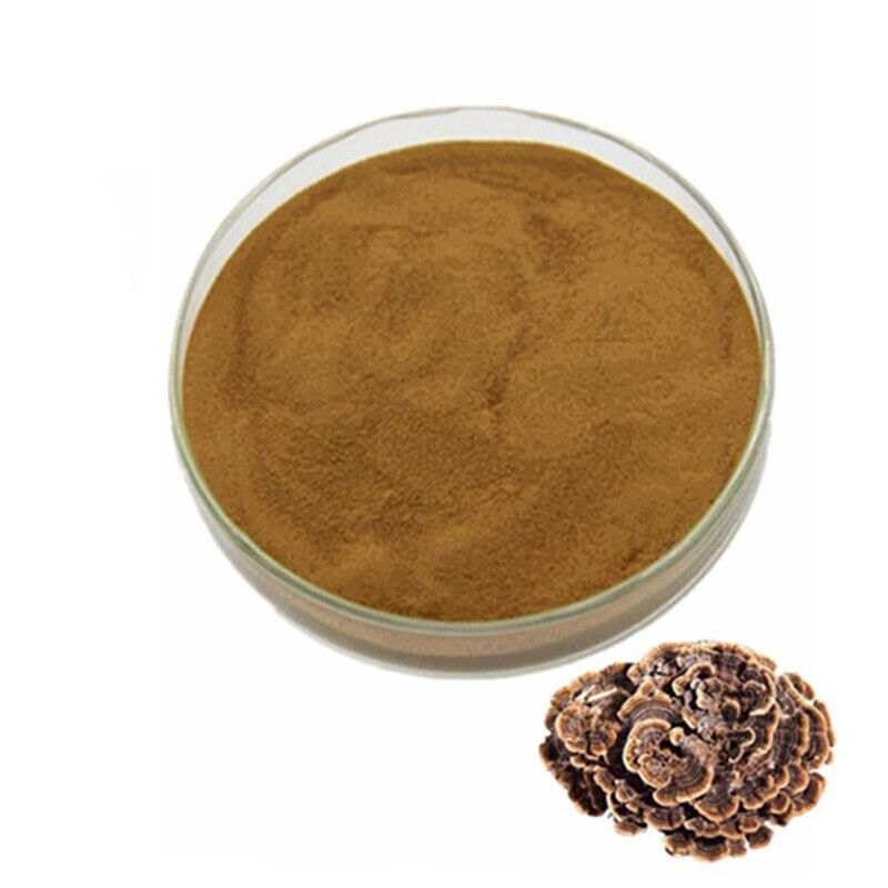 100g~500g Turkey Tail Mushroom Extract Powder 10:1