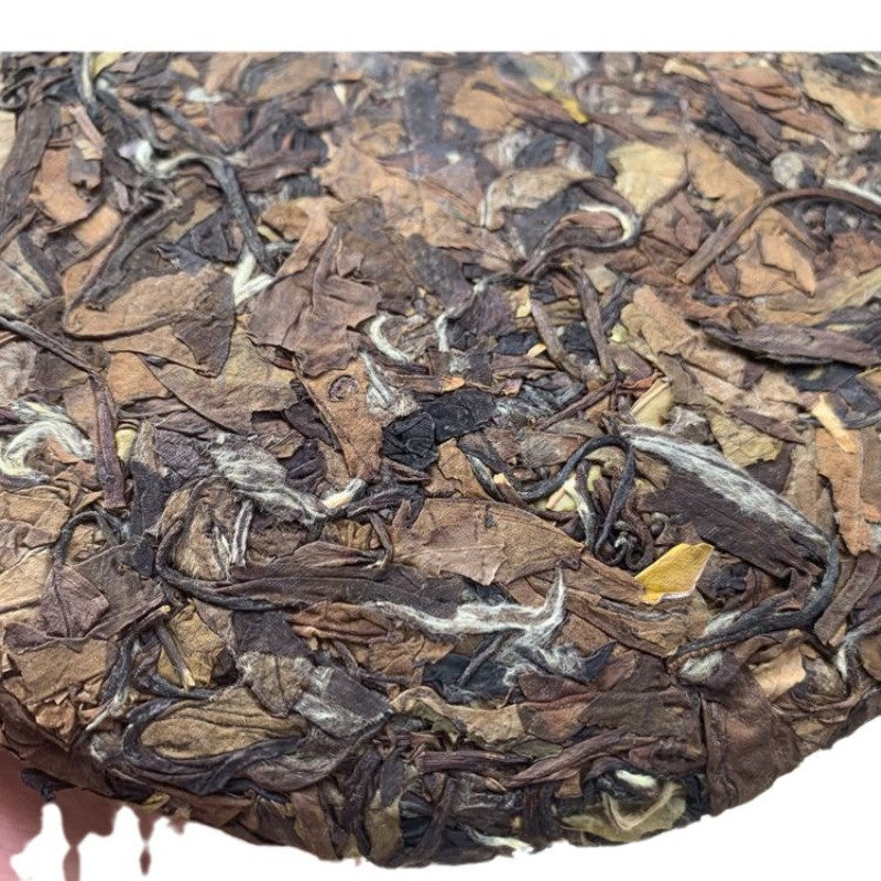 350克Fuding老白茶2010年高山老白茶茶蛋糕-