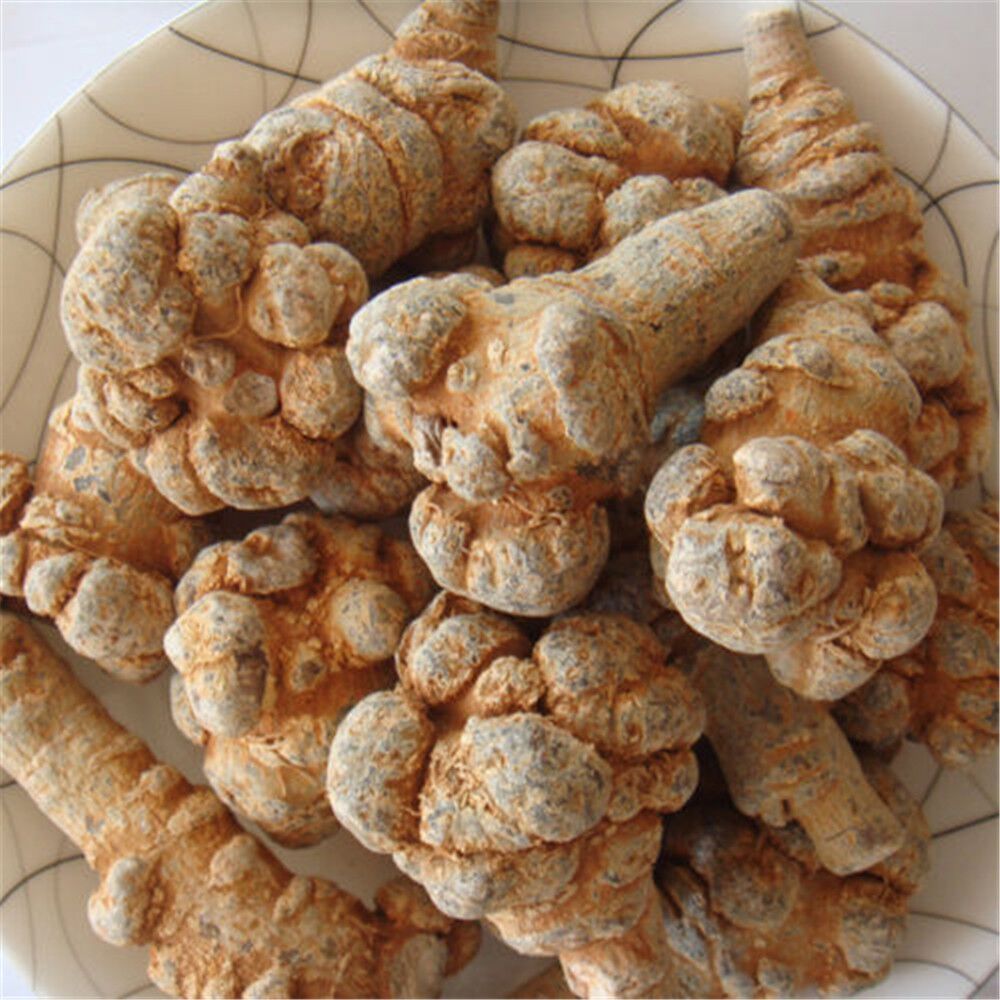 High quality Notoginseng Sanqi Powder Sanchi Tienchi Ginseng Root 100g Organic