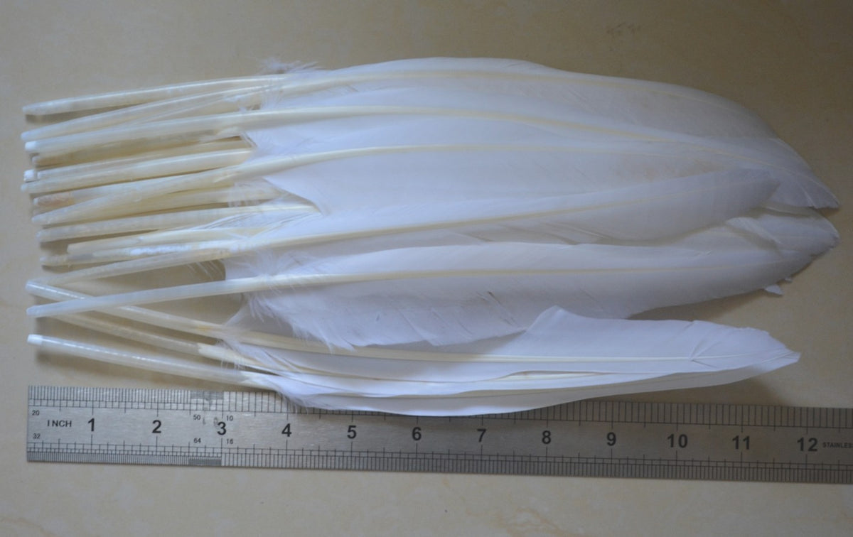 50x Natural White Goose Primary Wing Feather Arrow Making Party Costume Decor