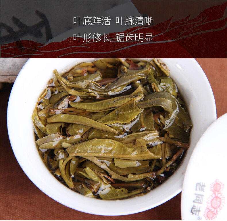 Haiwan 2017 Old Comrade Made Good Tea for Everyone Pu-erh Pu'er Raw Cake 357g