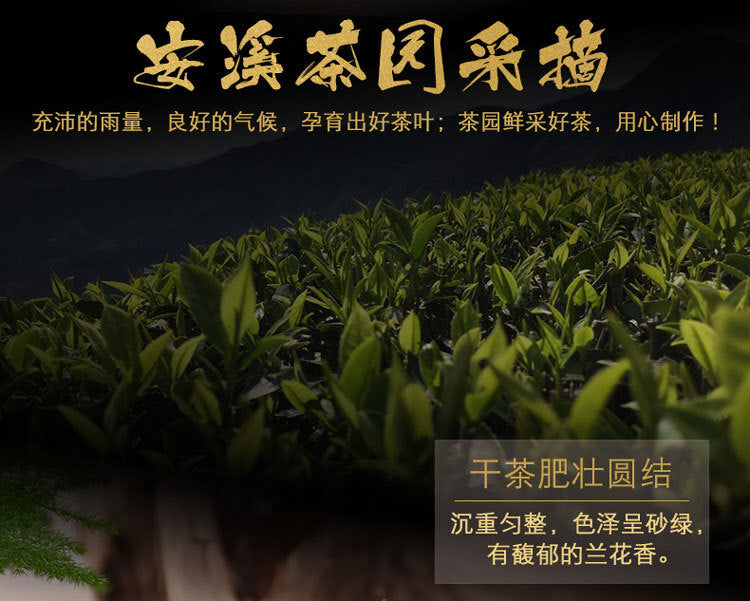 Tie Guan Yin Tea Oolong Tea Gift Box Fujian High Mountain Oolong Tea 250g/Box