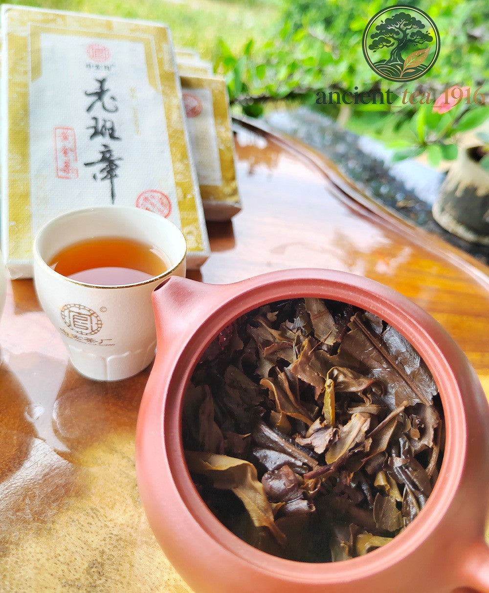 200g 2009 Pu Erh Tea Brick Laobanzhang Aged Pu Erh Raw Tea