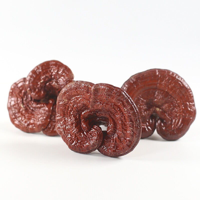 Dried Wild Lingzhi Purple Ganoderma Lucidum Herbal Reishi Mushroom 500g