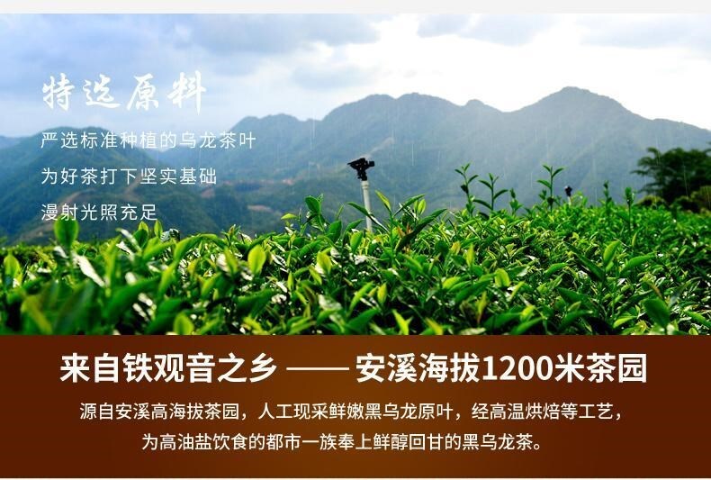 Fujian Black Oolong Tea Loose Leaf Roasted Oolong Tea Good for Weight Loose 250g