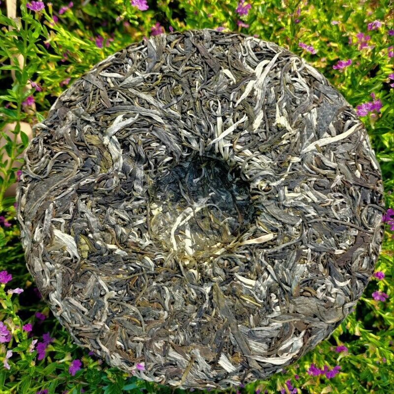 357g Yiwuqingbing Organic Arbor Pu'er Tea Health Care Natural Pu'er Cha Tea