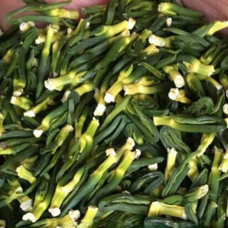 Lian Zi Xin Plumula Nelumbinis Natural Herbal Tea Organic Dried Lotus Plumule