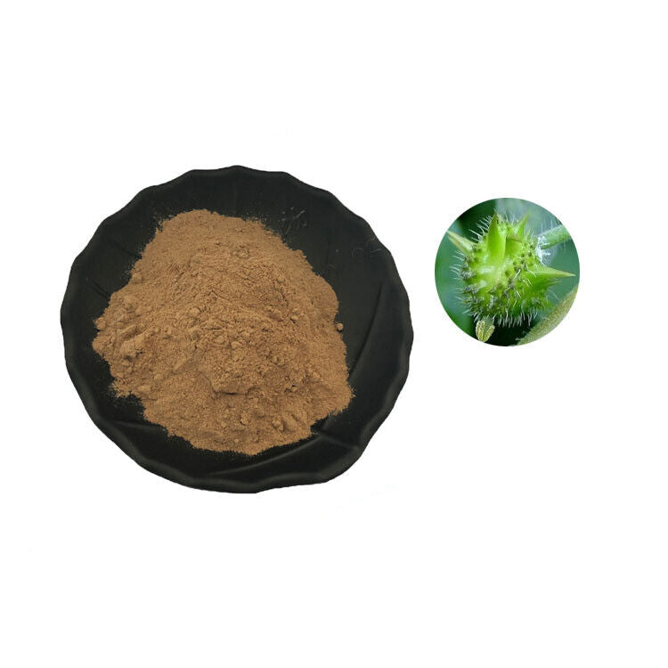 Tribulus Terrestris 90% Saponin Testerone Booster Muscle Mass 100g~500g