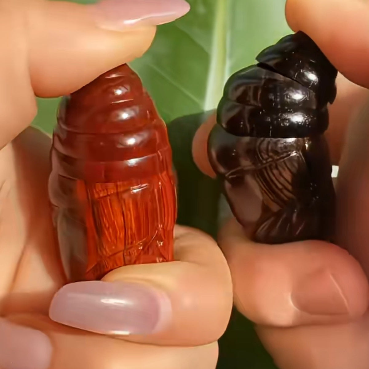Red Sandalwood Silkworm Pupa Hand Carved Movable Head Worry Stone Fidget Toy