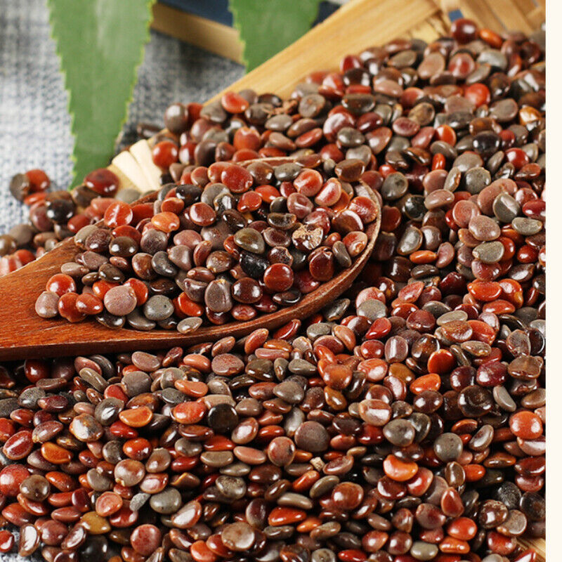 250g/500g Top Grade High Quality zhijuzi Chinese organic herbs Health Care 枳椇子
