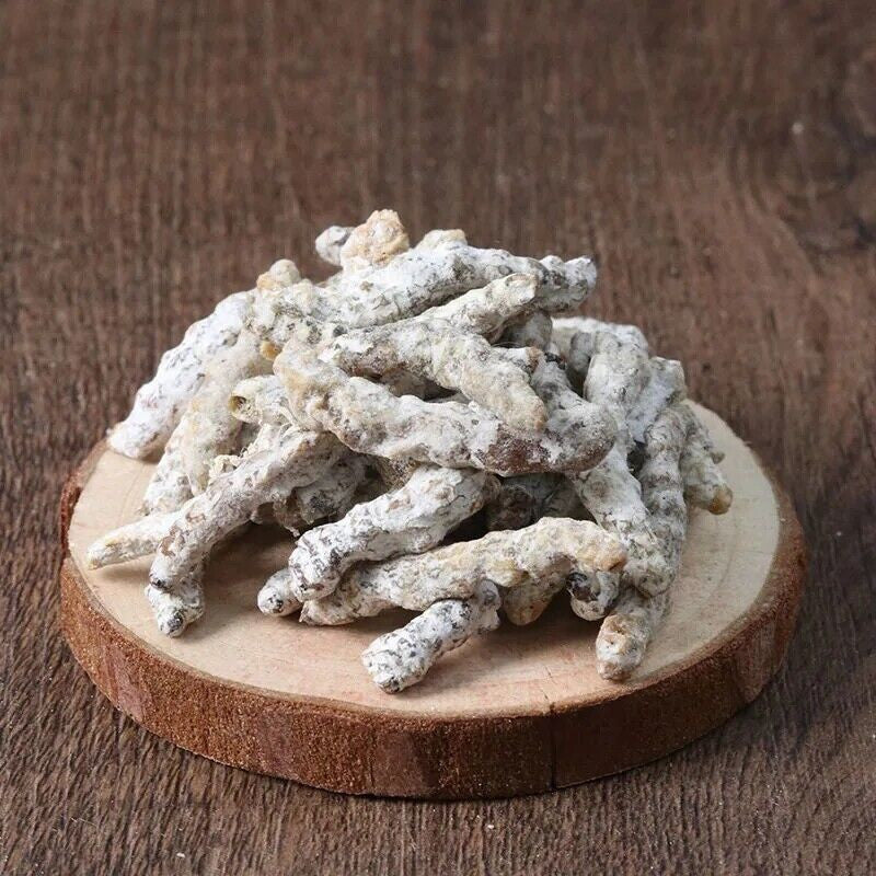 250g / 8.8oz Silkworm Larva (Bombyx Batryticatus / Bombyx Mori)