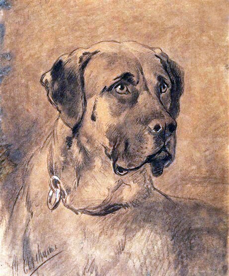 Dream-art Oil painting Otto_Eerelman-English_Mastiff large breed a bulldog art