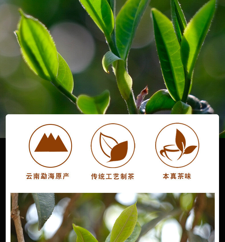 2003 Supreme Yunnan Royal Grade Golden Needle Aged Loose Pu-erh Ripe Shu Puerh