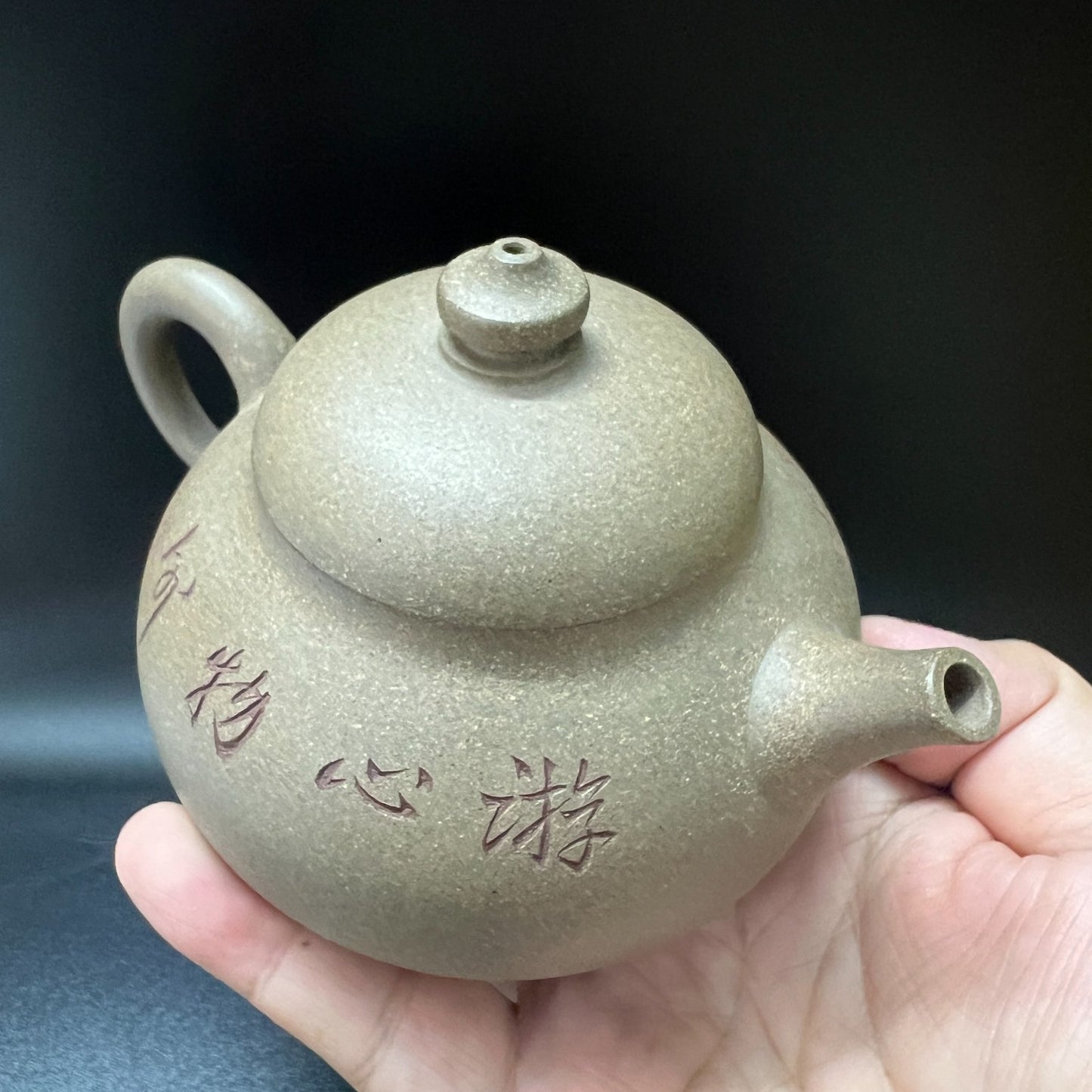 170cc chinese Yixing Handmade Zisha teapot Duan clay YouYu Hu Gongfu Tea Pot