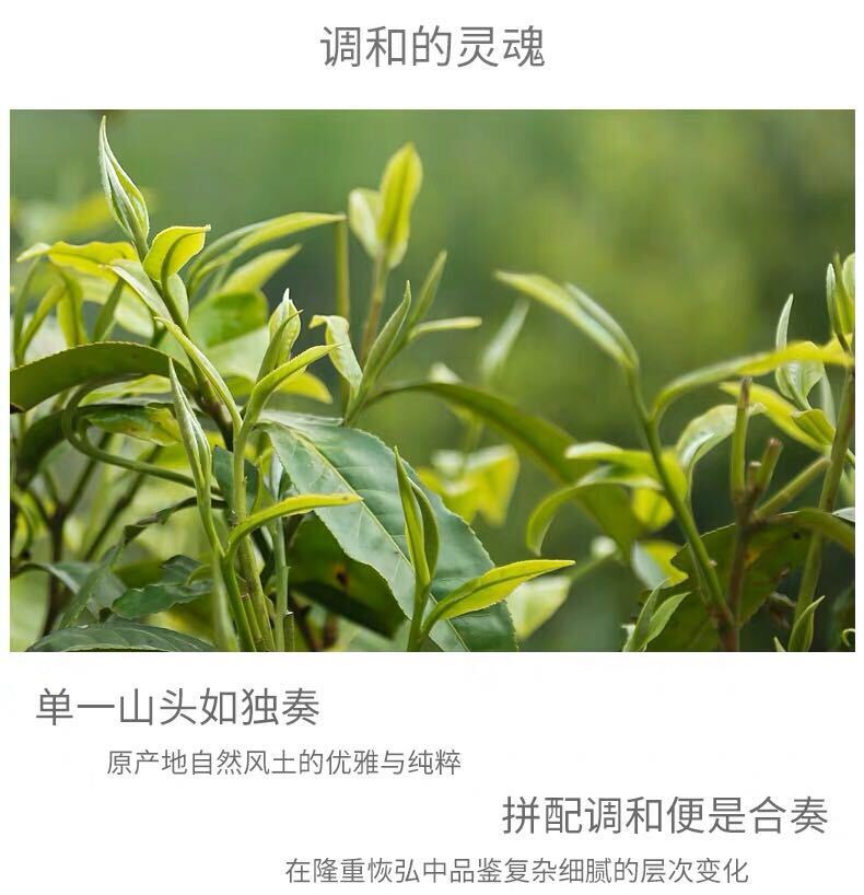 2018 Haiwan Ancient Tree Puer Tea Shu Black Pu Er Ripe Great Idea (Peng Tu) 400g-