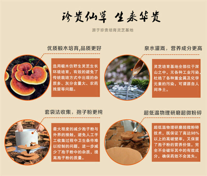 500g Chinese Wild Ganoderma Lucidum Tea Powder Reishi Spore Powder Herbal Tea