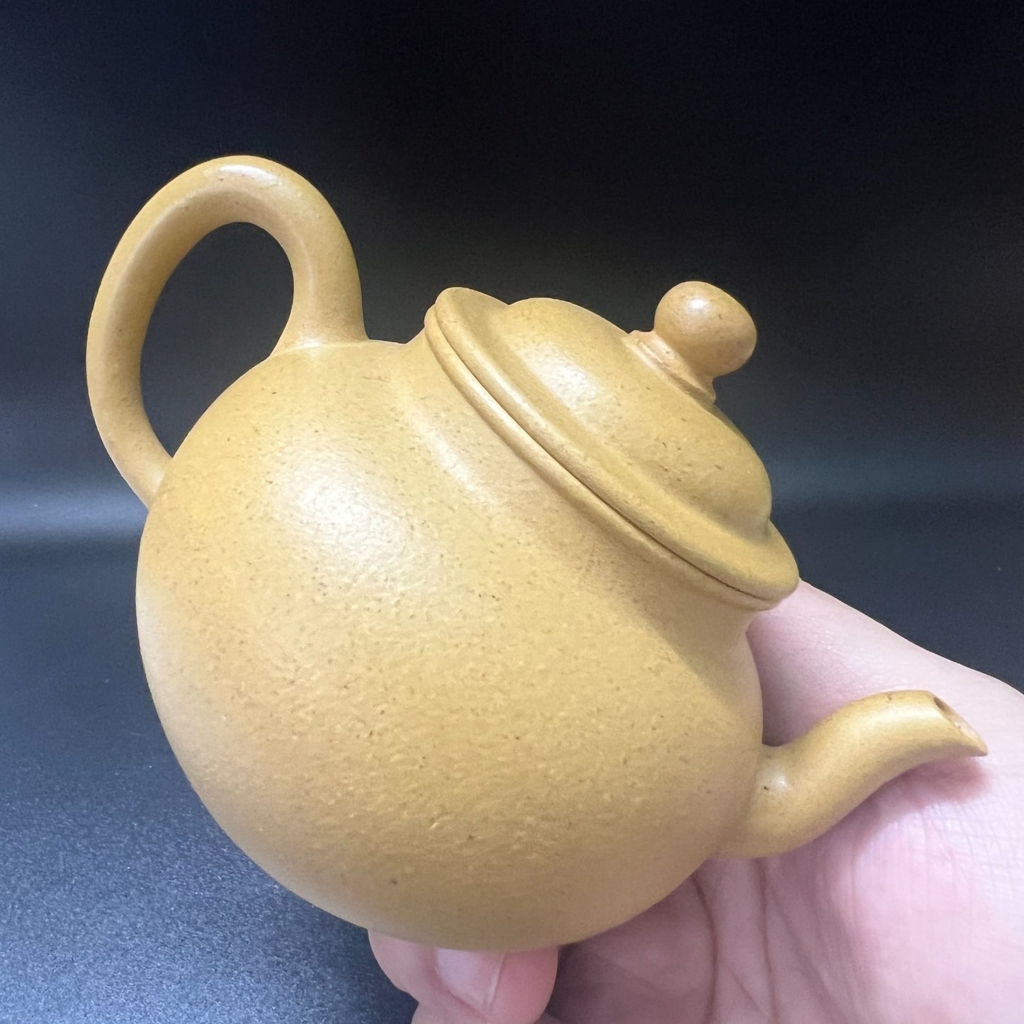 170cc chinese Yixing Handmade Zisha teapot Duan Clay ChunQiu Hu Gongfu Tea Pot