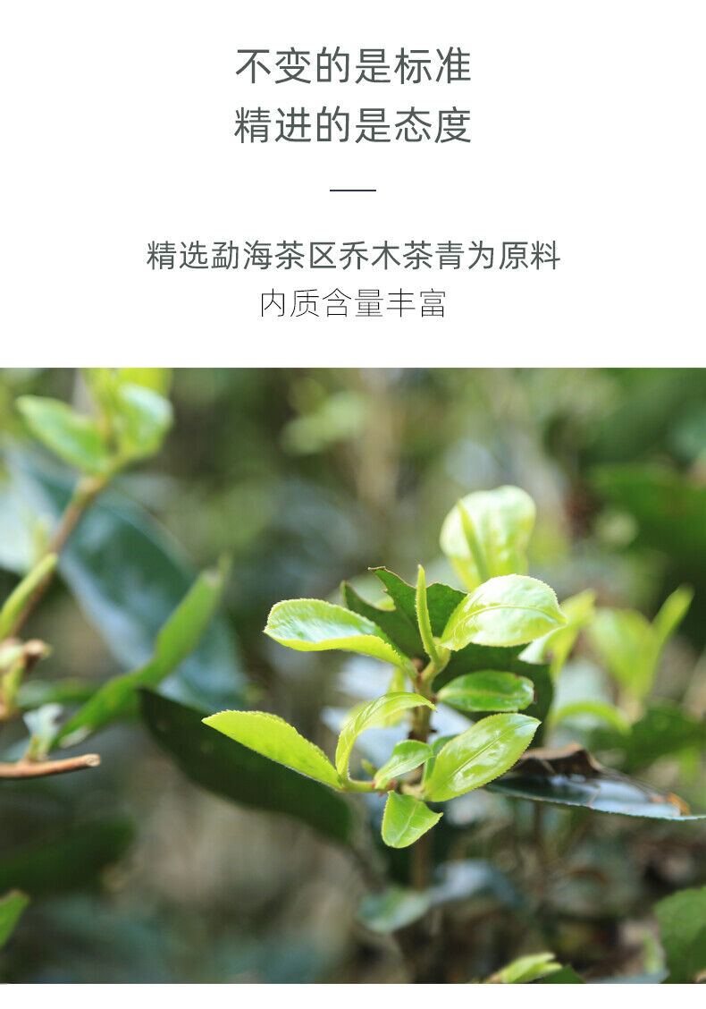 Chun Puer * 2021 Haiwan Yunnan Chi Tse Beeng Cha Pu-erh Ripe Pu Er Tea 357g